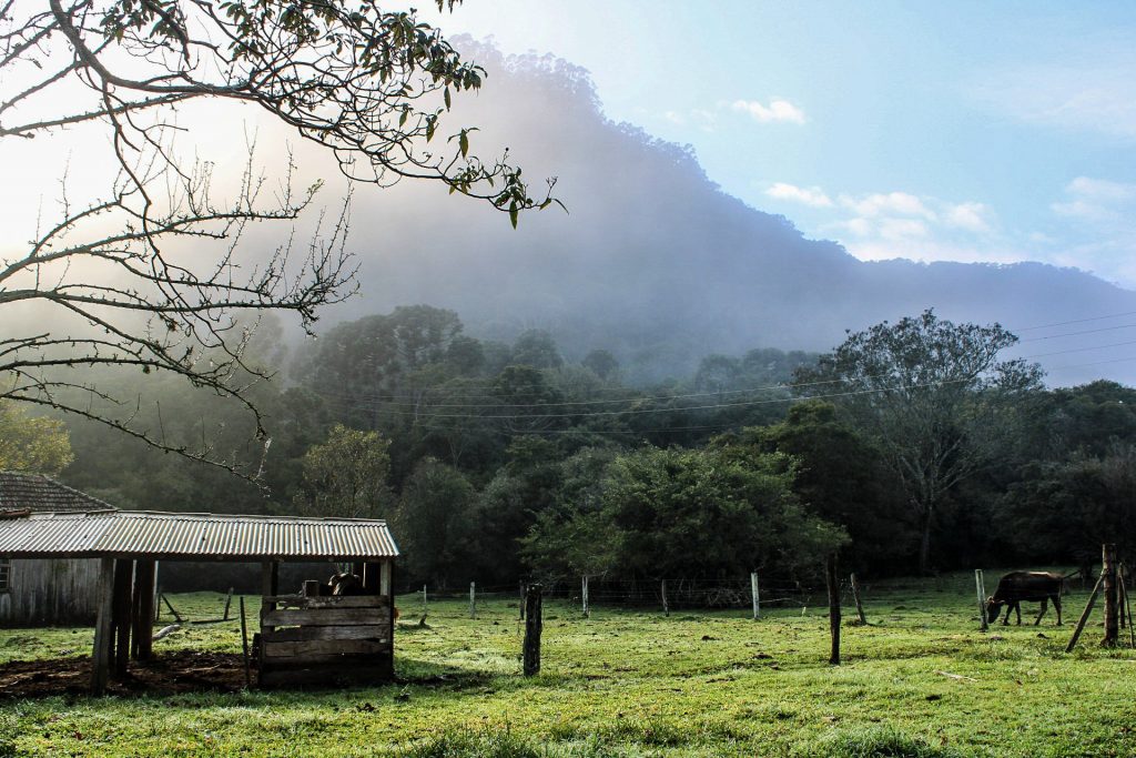 Depois do ciclone previsão de frio e geada