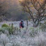 Terça-feira será congelante no Rio Grande do Sul