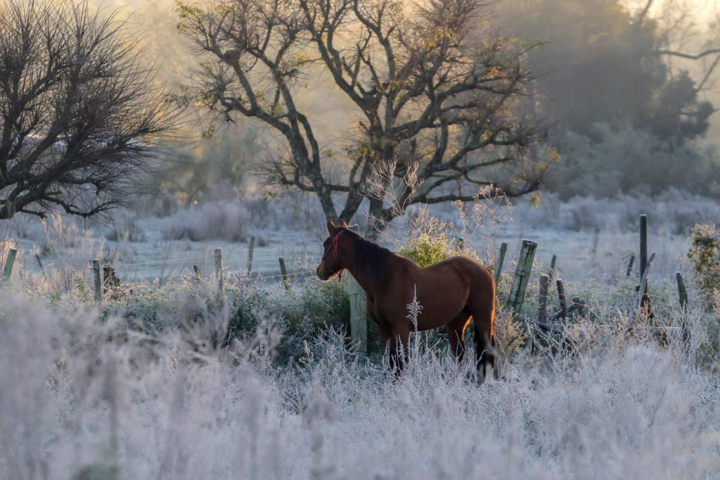Frio aumenta com previsão de temperaturas abaixo de zero