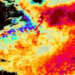 Atlântico superaquece e cientistas enxergam recordes “inacreditáveis”