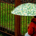 Primeiro dia do inverno será marcado por chuva no Rio Grande do Sul