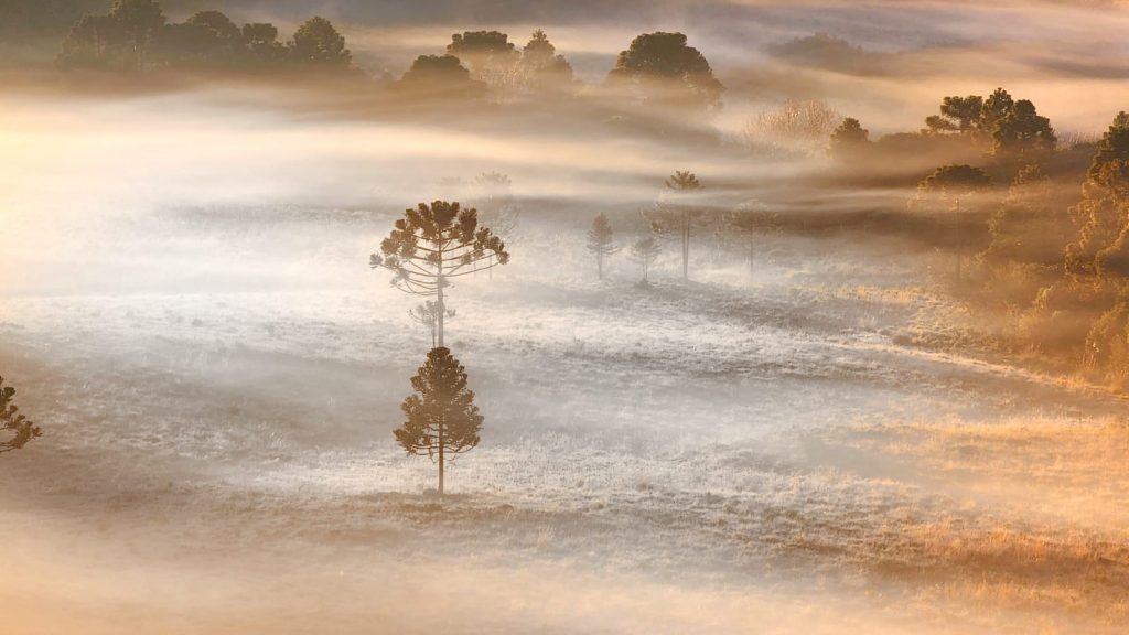 Postais de frio no primeiro dia do inverno meteorológico