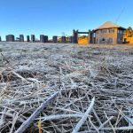 Inverno meteorológico começa com frio de 0ºC no Sul do Brasil