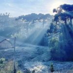 Como foram os invernos em anos de El Niño neste século