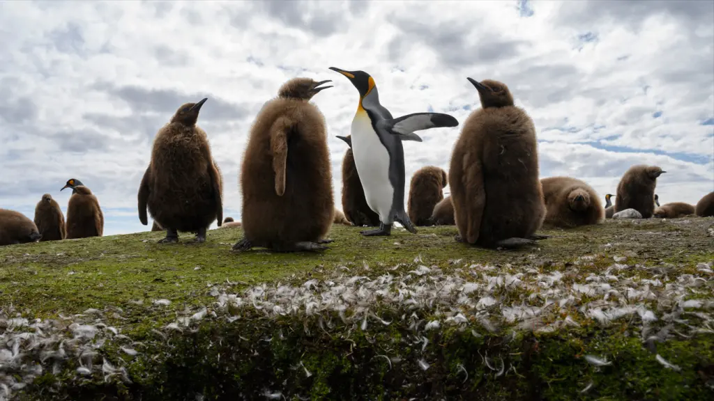 Mínimas menores que nas Malvinas no início do inverno climático