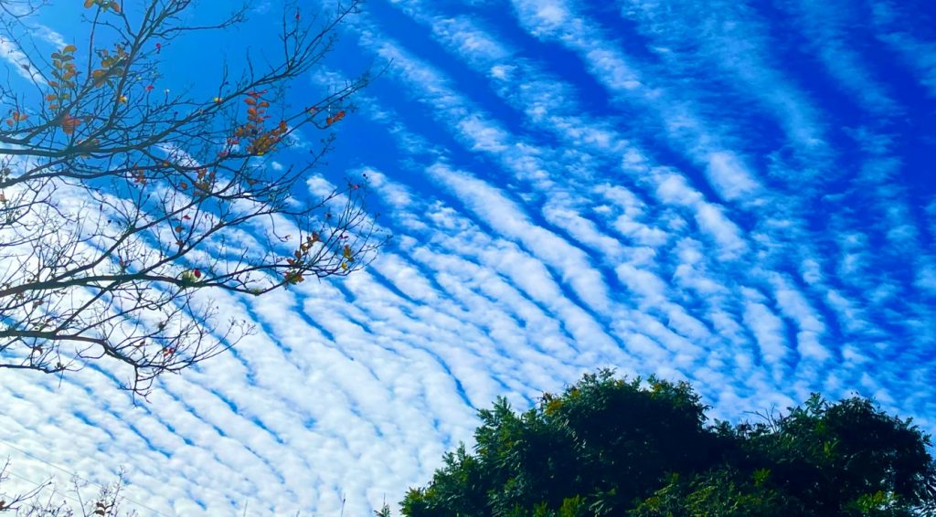 Ondas de gravidade aparecem na manhã fria de Porto Alegre