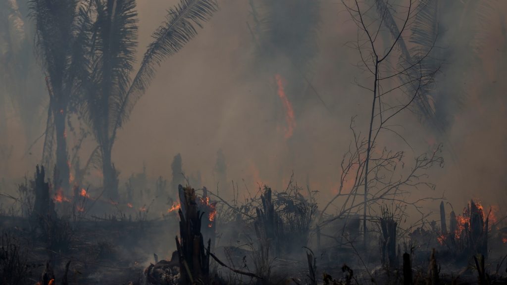 Amazônia tem o pior junho de queimadas em 16 anos
