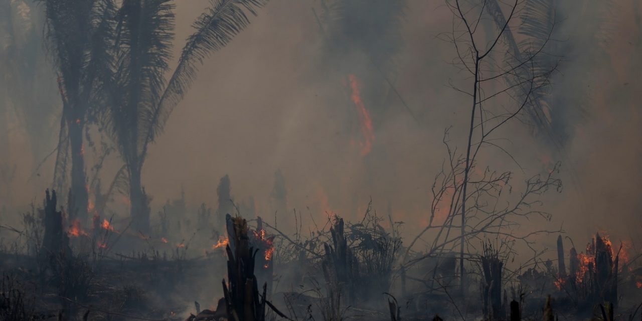 <span class="entry-title-primary">Amazônia tem o pior junho de queimadas em 16 anos</span> <h2 class="entry-subtitle">Dados do Instituto Nacional de Pesquisas Espaciais mostram que o fogo está acima da média no mês também no Cerrado </h2>