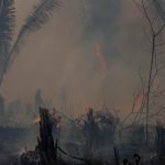 Amazônia tem o pior junho de queimadas em 16 anos