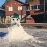 Santa Catarina enfrenta frio de quase 8ºC abaixo de zero