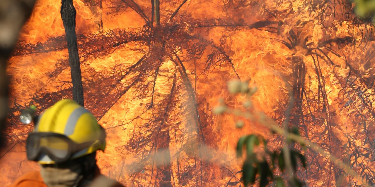<span class="entry-title-primary">Cerrado teve o pior junho de queimadas desde 2010</span> <h2 class="entry-subtitle">Especialistas consideram o bioma como o mais ameaçado do Brasil no momento com desmatamento acelerado </h2>