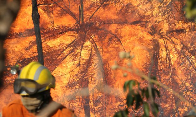 Cerrado teve o pior junho de queimadas desde 2010
