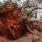 Ciclone intenso terá vento acima de 100 km/h e afetará vários estados