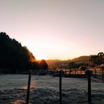 Frio e geada no Centro-Oeste, Minas Gerais, São Paulo e Rio de Janeiro
