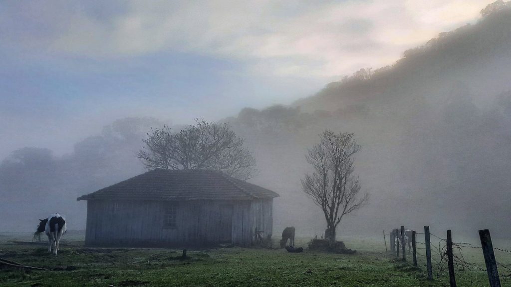 Clima de inverno amanhã com aumento do frio, marcas negativas e geada
