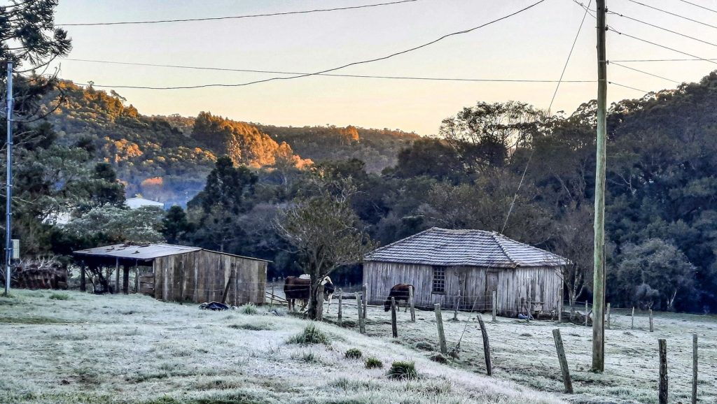 Galeria de fotos – Gelo e geada pelo Rio Grande do Sul