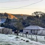 Galeria de fotos – Gelo e geada pelo Rio Grande do Sul