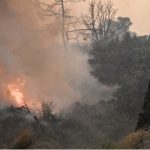 Grécia luta para apagar incêndios antes da volta do vento forte