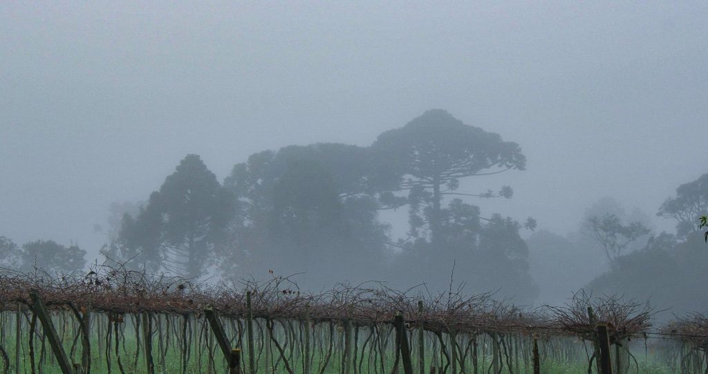 Julho começa com inversão térmica, nevoeiro e neblina