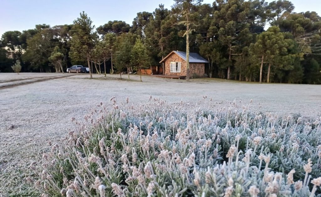 Reforço de ar polar aumenta ainda mais o frio – Veja as mínimas de hoje