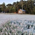 Reforço de ar polar aumenta ainda mais o frio – Veja as mínimas de hoje