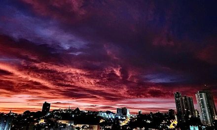 Veja a previsão do tempo para a semana dia a dia (24/7/2023) Confira o que esperar do tempo dia a dia desta semana no Rio Grande do Sul com a previsão do tempo da MetSul Meteorologia