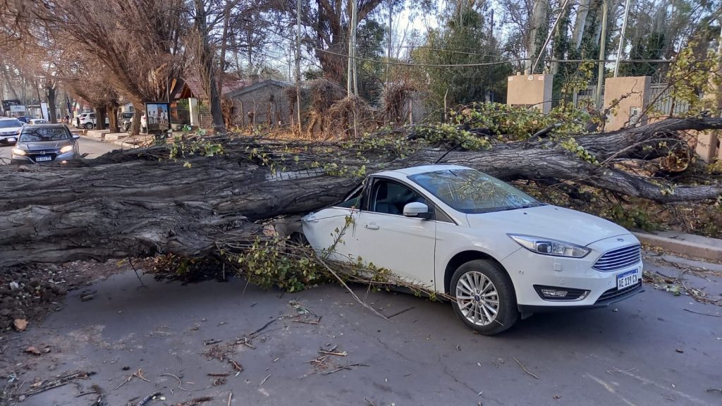 Vento quente atinge RS e traz mortes e tempestades de areia na Argentina