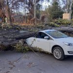 Vento quente atinge RS e traz mortes e tempestades de areia na Argentina
