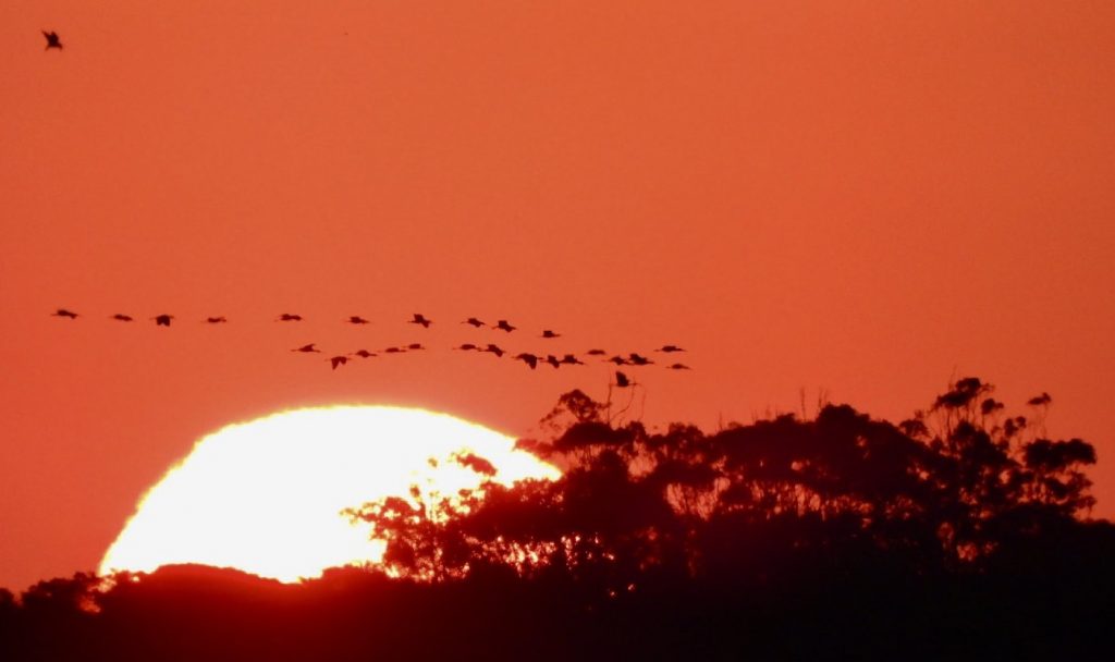 Frente fria muda o tempo após calor de quase 34ºC