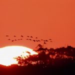 Frente fria muda o tempo após calor de quase 34ºC