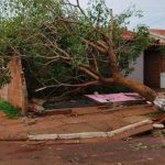 Vendavais fora de época atingem vários estados e com estragos