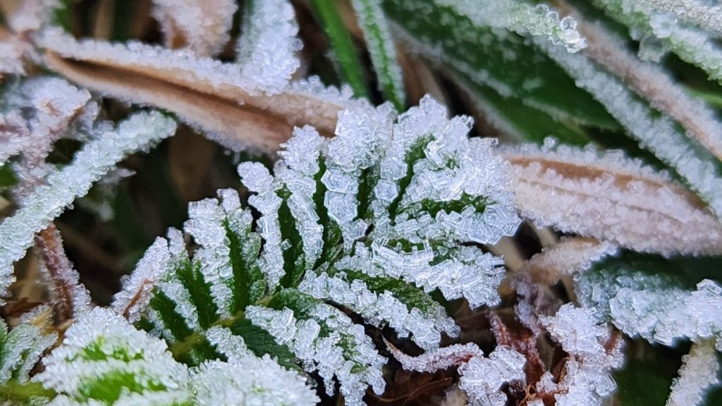 Veja as imagens do frio desta segunda-feira no RS e em SC