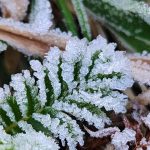 Veja as imagens do frio desta segunda-feira no RS e em SC
