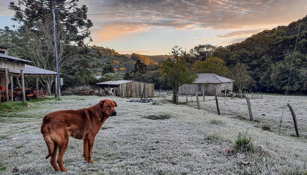 Frio vai aumentar neste fim de semana com reforço de ar polar