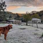 Frio vai aumentar neste fim de semana com reforço de ar polar
