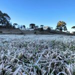 Frio congelante cobre os campos de gelo; veja as mínimas deste sábado