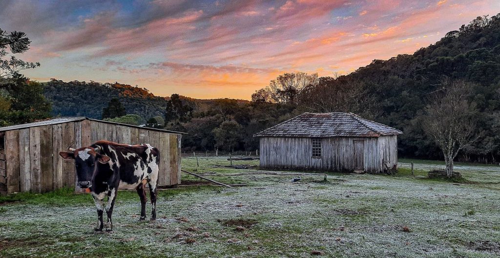 Domingo congelante registrou até 5ºC negativos; veja as mínimas de hoje