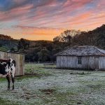 Domingo congelante registrou até 5ºC negativos; veja as mínimas de hoje