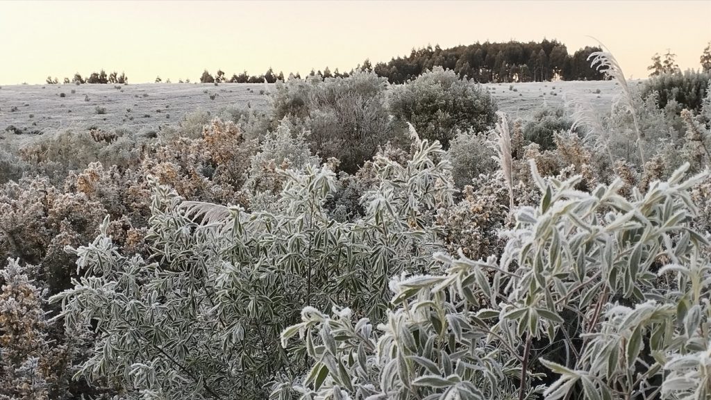 Frio extremo no Rio Grande do Sul no fim do inverno: 6,5ºC abaixo de zero