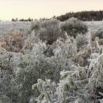 Frio extremo no Rio Grande do Sul no fim do inverno: 6,5ºC abaixo de zero