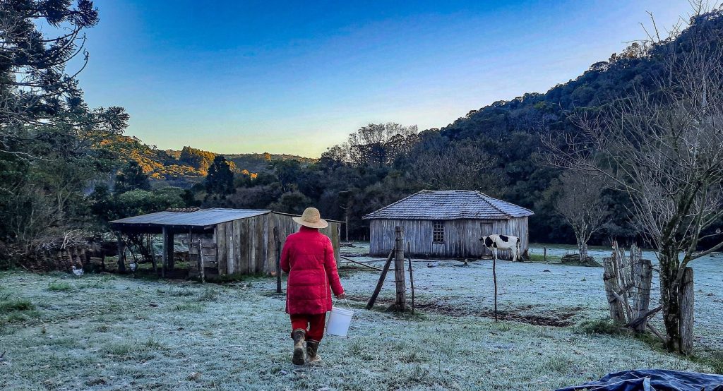 Frio no Rio Grande do Sul: listão das mínimas desta segunda-feira
