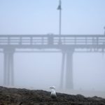 Tempestade tropical Hillary começa a castigar o estado da Califórnia
