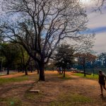Calor aumenta nesta terça-feira em dia tórrido em São Paulo