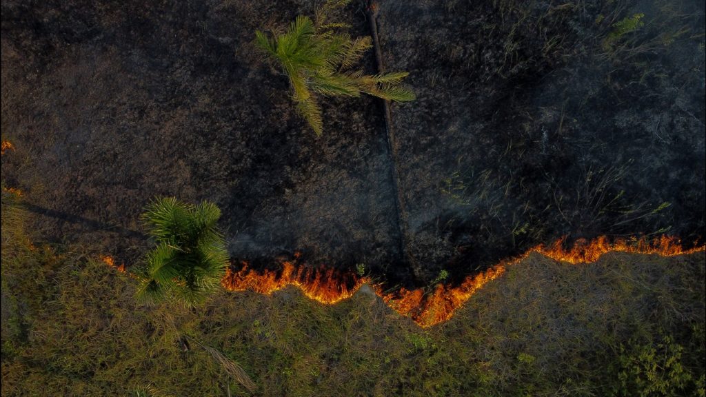 Amazonas vive setembro de fogo