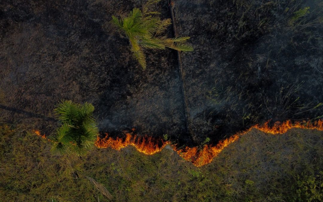 Amazonas vive setembro de fogo Número de queimadas neste mês está muitíssimo acima dos padrões históricos no Amazonas e foi decretada emergência ambiental