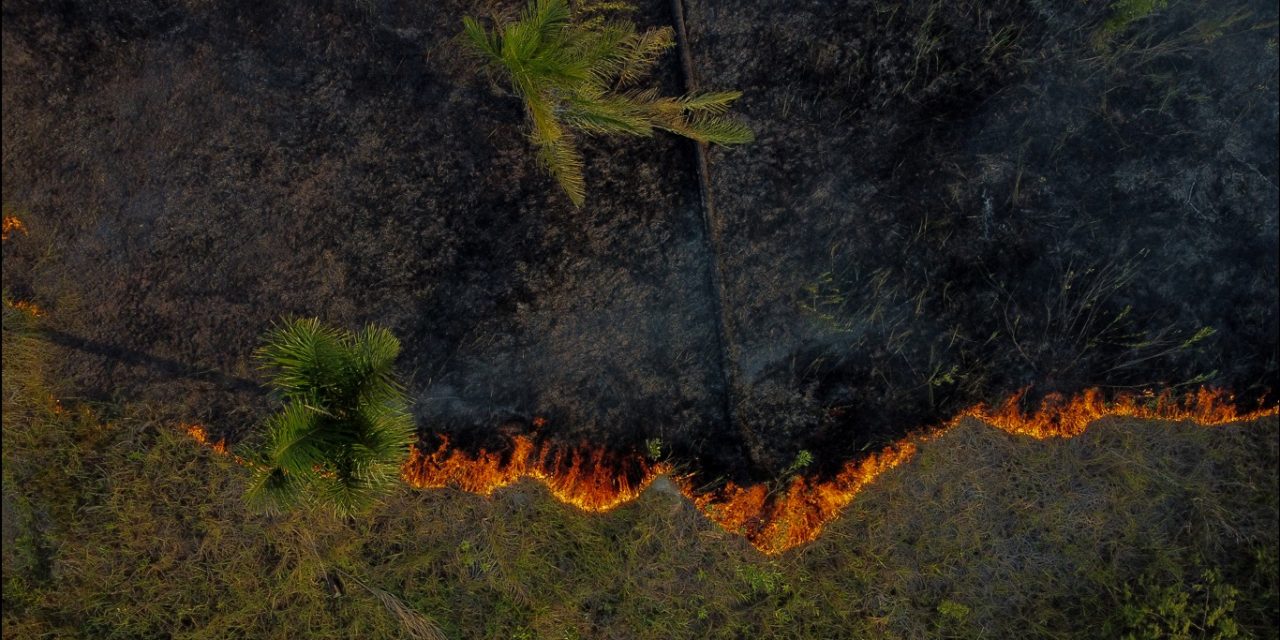 <span class="entry-title-primary">Amazonas vive setembro de fogo</span> <h2 class="entry-subtitle">Número de queimadas neste mês está muitíssimo acima dos padrões históricos no Amazonas e foi decretada emergência ambiental </h2>