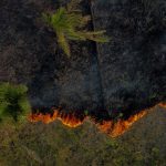 Amazonas vive setembro de fogo
