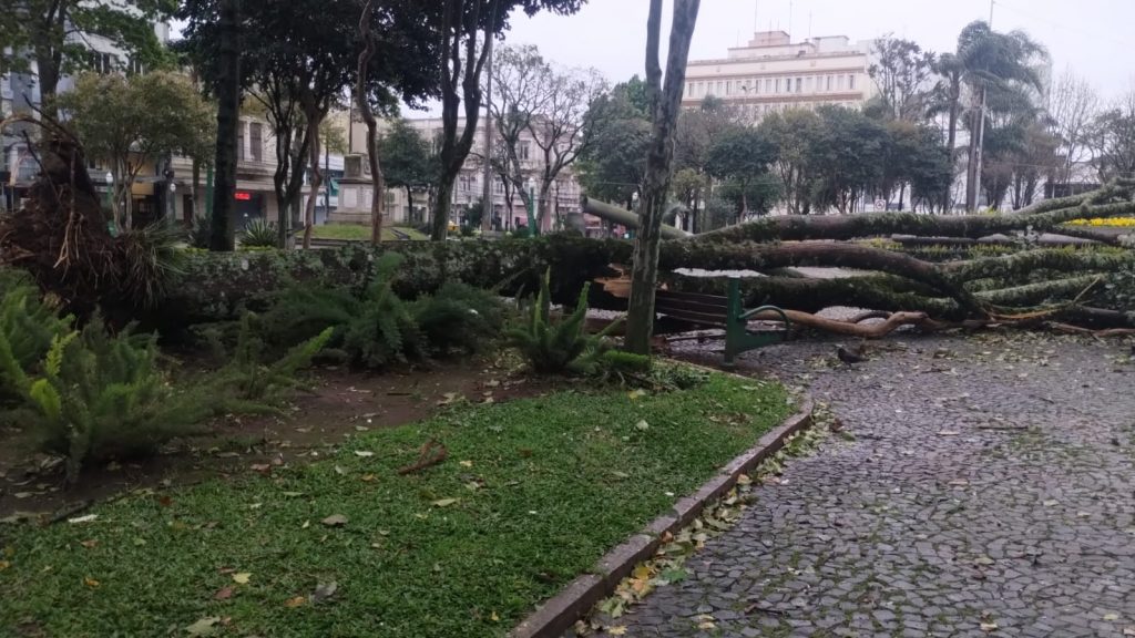 Vendaval castiga a Serra Gaúcha; vem mais tempestade?
