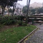 Vendaval castiga a Serra Gaúcha; vem mais tempestade?