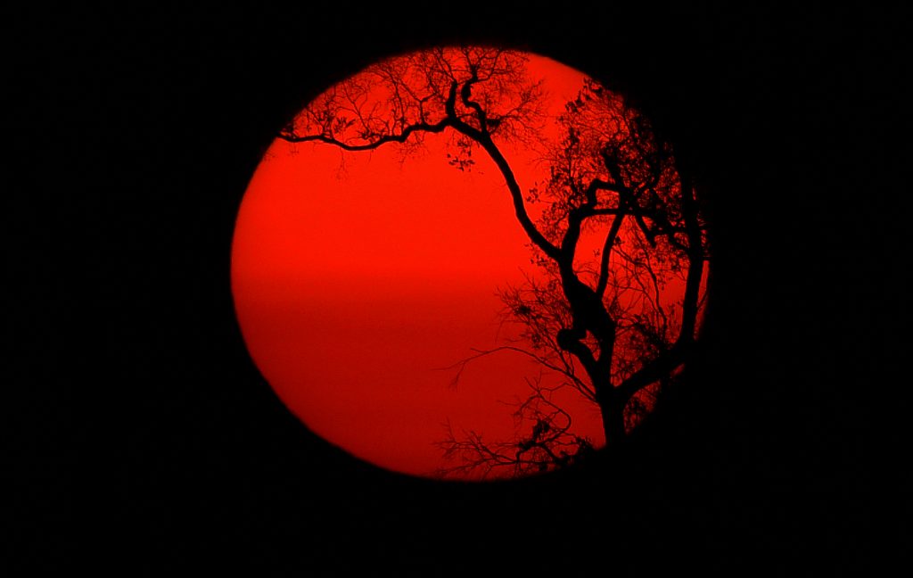 Guia para entender e se preparar para a onda de calor extremo